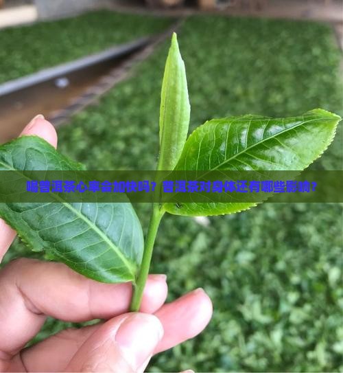 喝普洱茶心率会加快吗