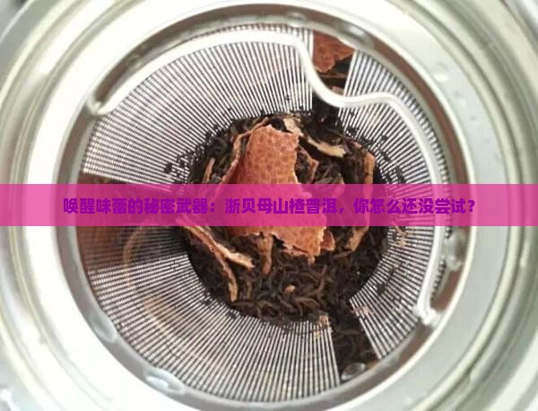 浙贝母山楂普洱茶