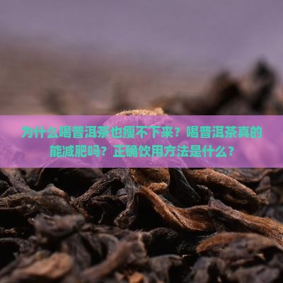 喝普洱茶也瘦不下来