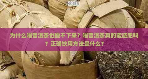 喝普洱茶也瘦不下来