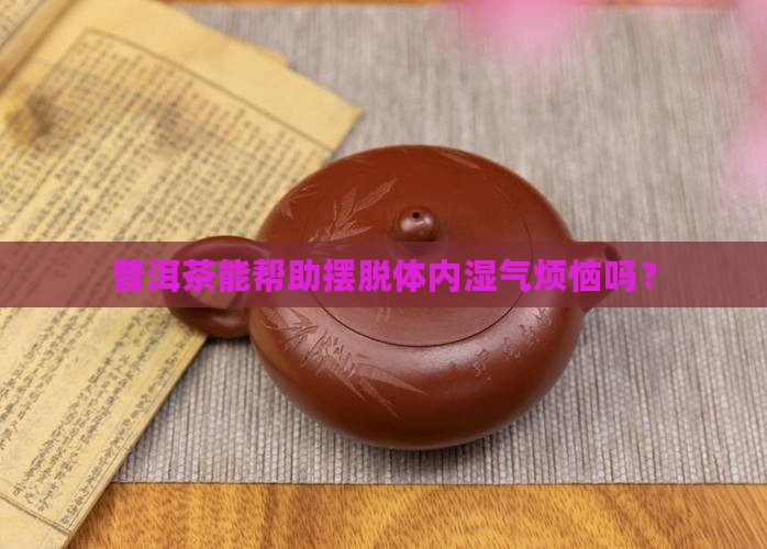 体内有湿气能喝普洱茶吗