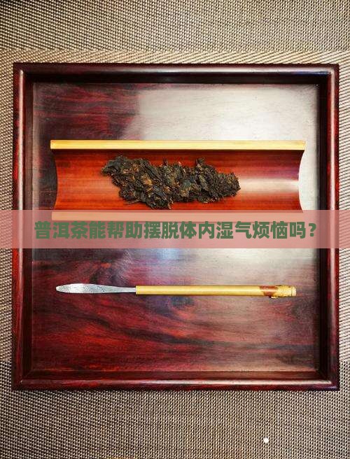 体内有湿气能喝普洱茶吗