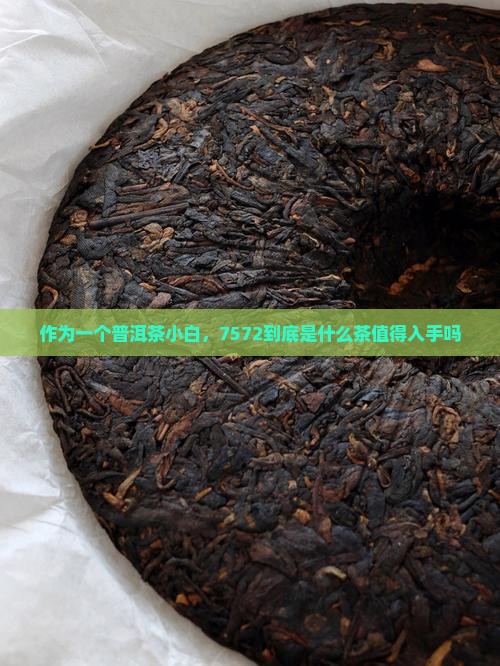 7572是什么普洱茶