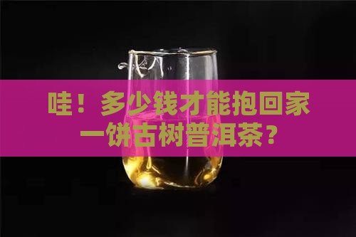 多少钱可以买到古树普洱茶