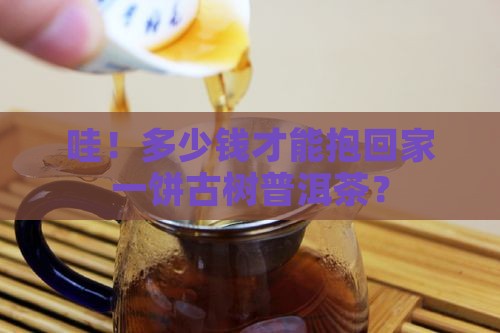 多少钱可以买到古树普洱茶