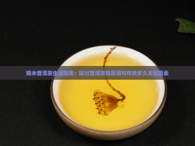 糯米普洱保质期