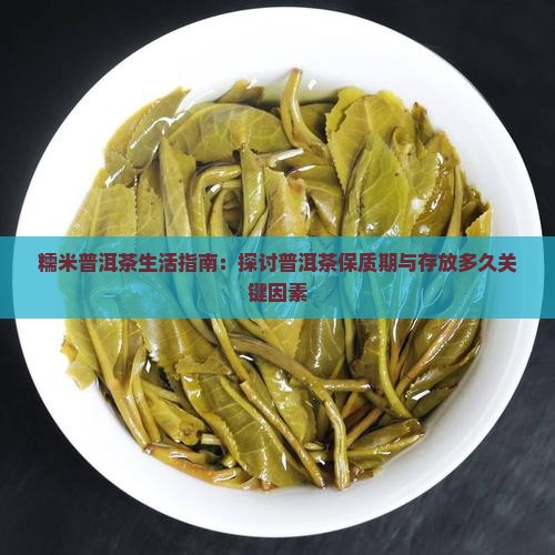 糯米普洱保质期