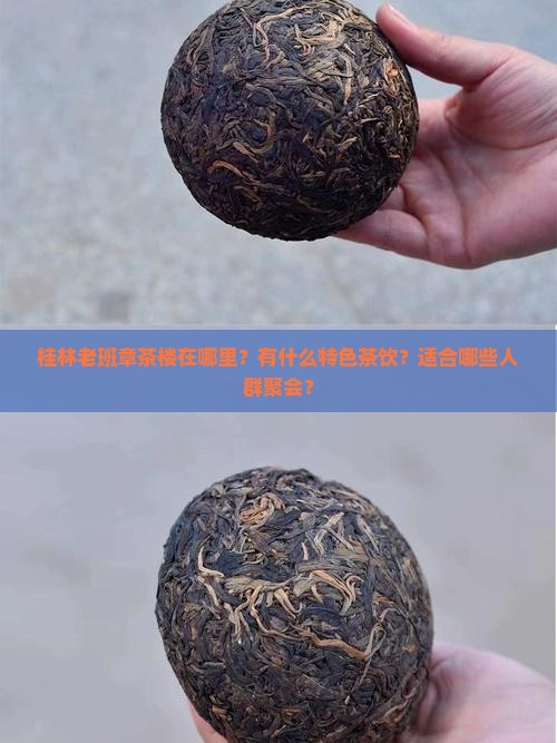 桂林老班章茶楼