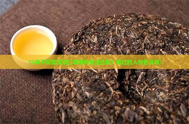 不同普洱茶口味