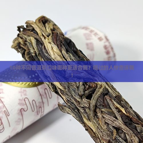 不同普洱茶口味