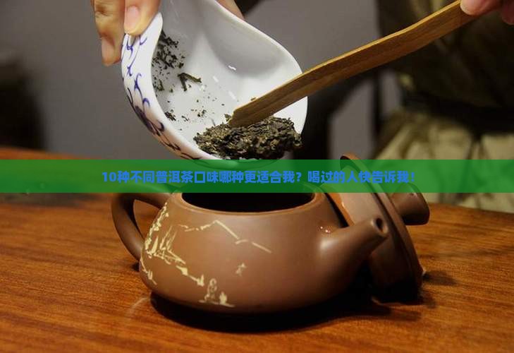 不同普洱茶口味