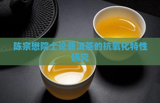 陈宗懋院士论普洱茶