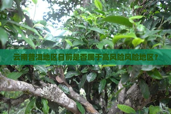 普洱现在是高风险地区吗