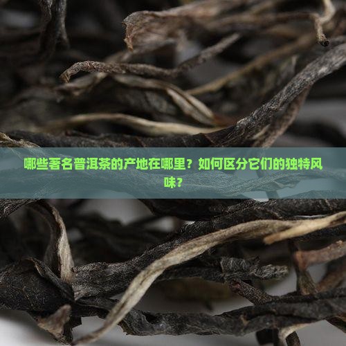 几款著名的普洱茶产地是