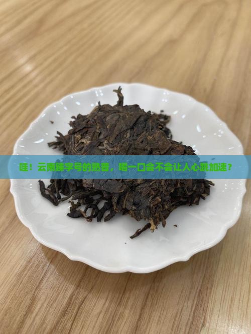 云南臻字号普洱茶熟茶