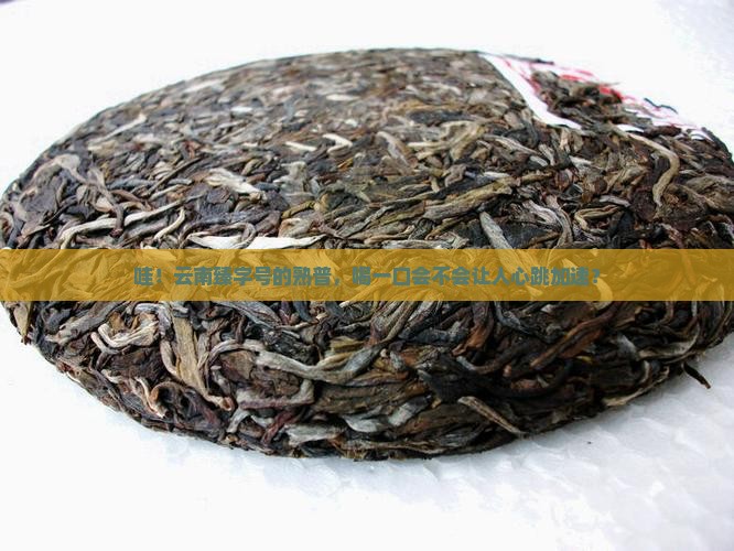 云南臻字号普洱茶熟茶