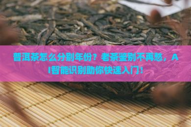 普洱茶怎么分别年份