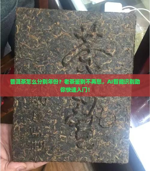 普洱茶怎么分别年份