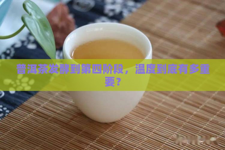 普洱茶发酵第四阶段温度