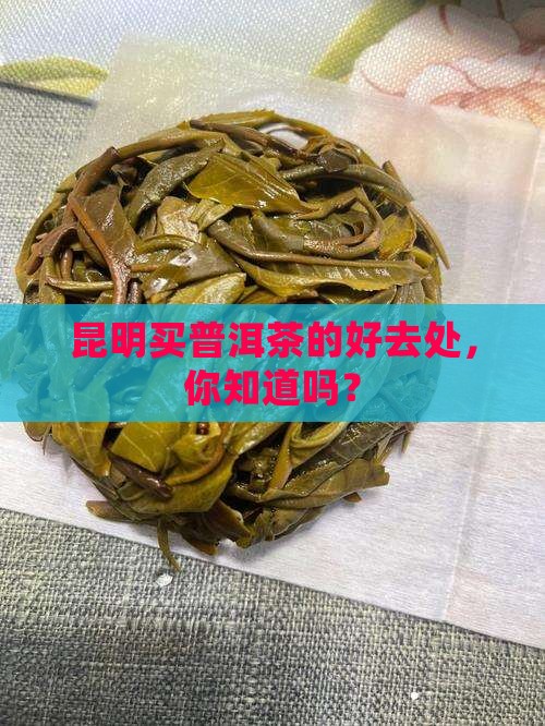 昆明买普洱茶去哪里好点