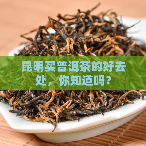 昆明买普洱茶去哪里好点