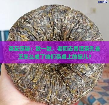 老同志普洱茶旗舰店孔雀王