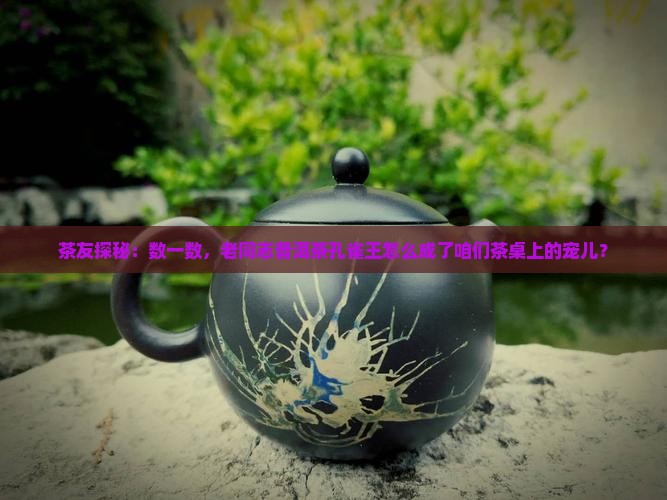 老同志普洱茶旗舰店孔雀王