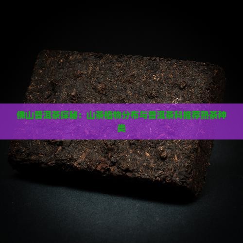 佛山熟普洱茶种类