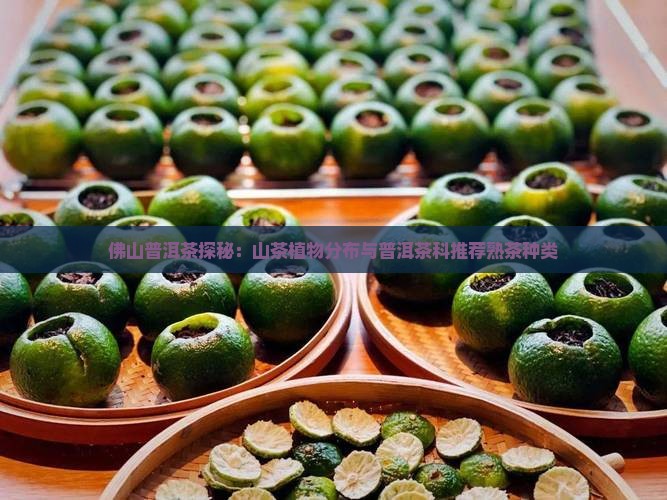 佛山熟普洱茶种类