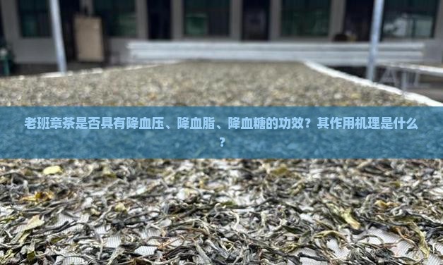 老班章茶能降三高吗