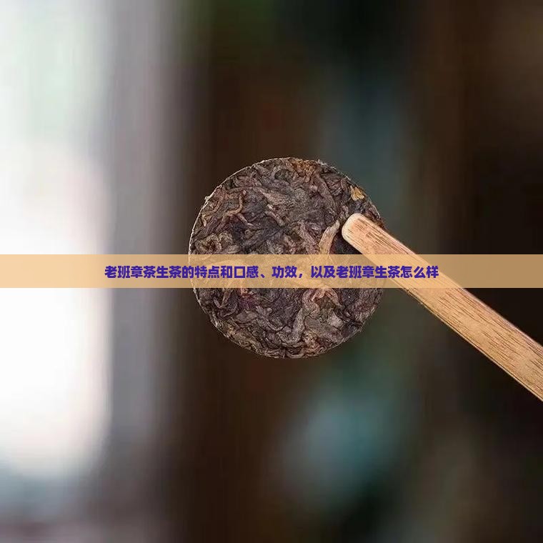 老班章茶生茶的特点和口感