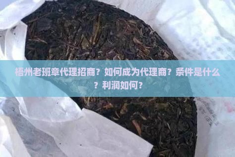 梧州老班章代理招商
