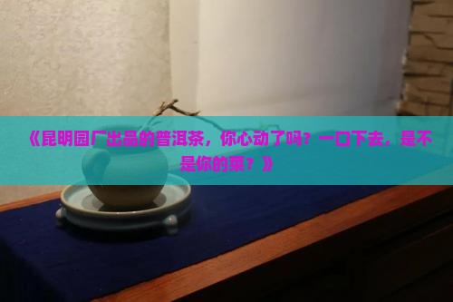 昆明园厂出品普洱茶