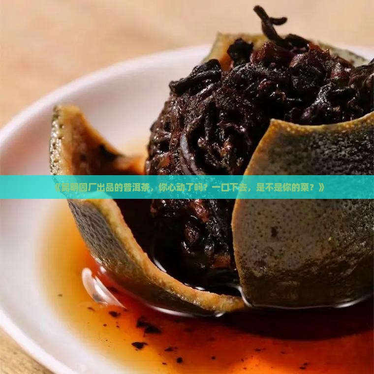 昆明园厂出品普洱茶
