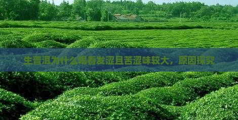 生普洱为什么喝着发涩