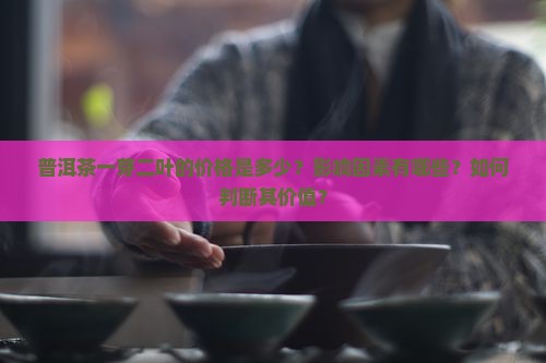 普洱茶一芽二叶价格