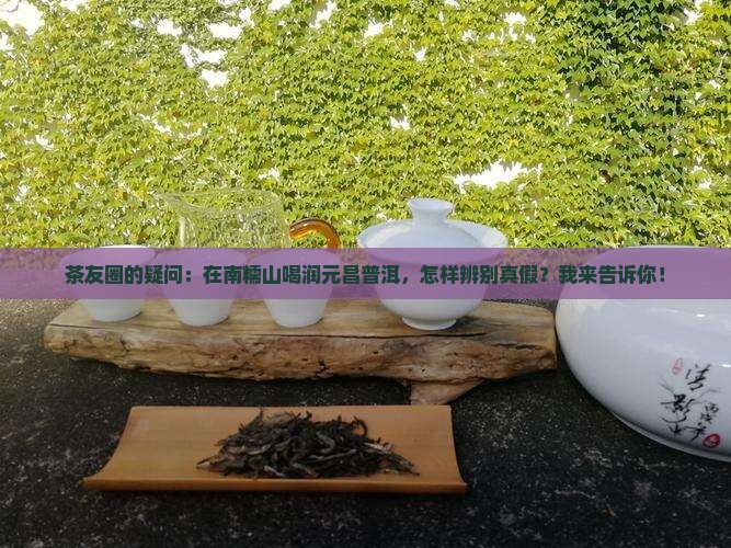 润元昌普洱茶南糯