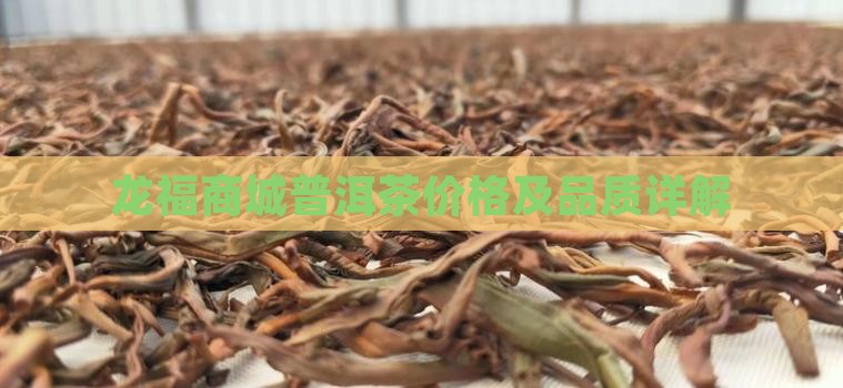 龙福商城普洱茶