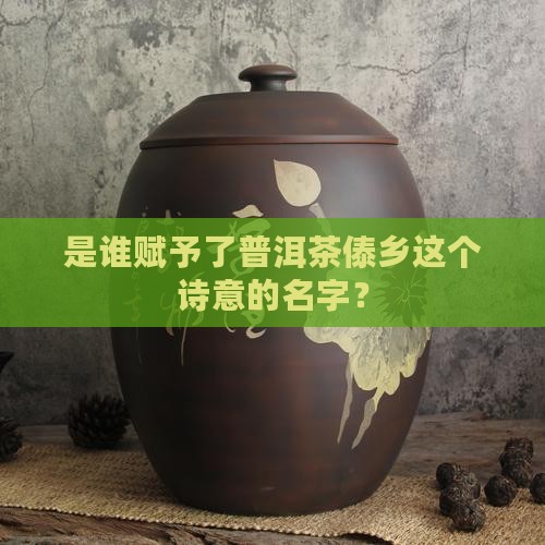 傣乡普洱茶命名