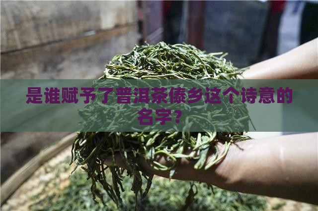 傣乡普洱茶命名