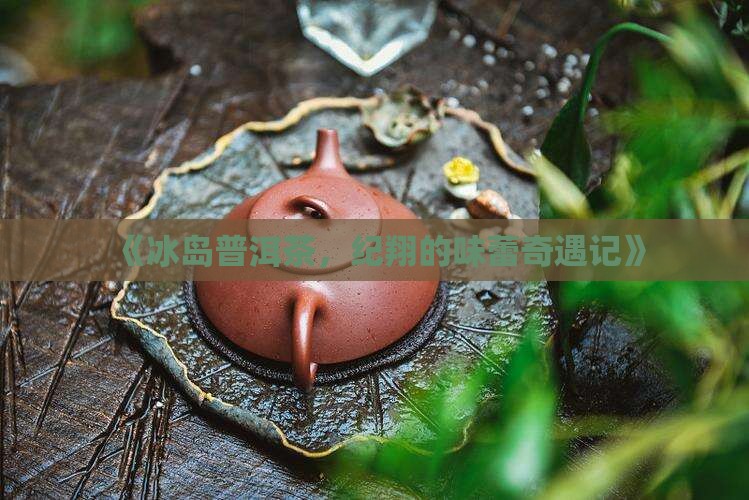冰岛普洱茶纪翔
