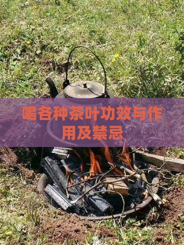 喝各种茶叶功效与作用