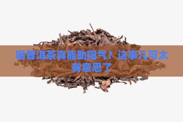 喝普洱茶提升阳气吗