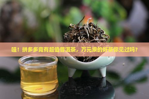拼多多十万以上的普洱茶