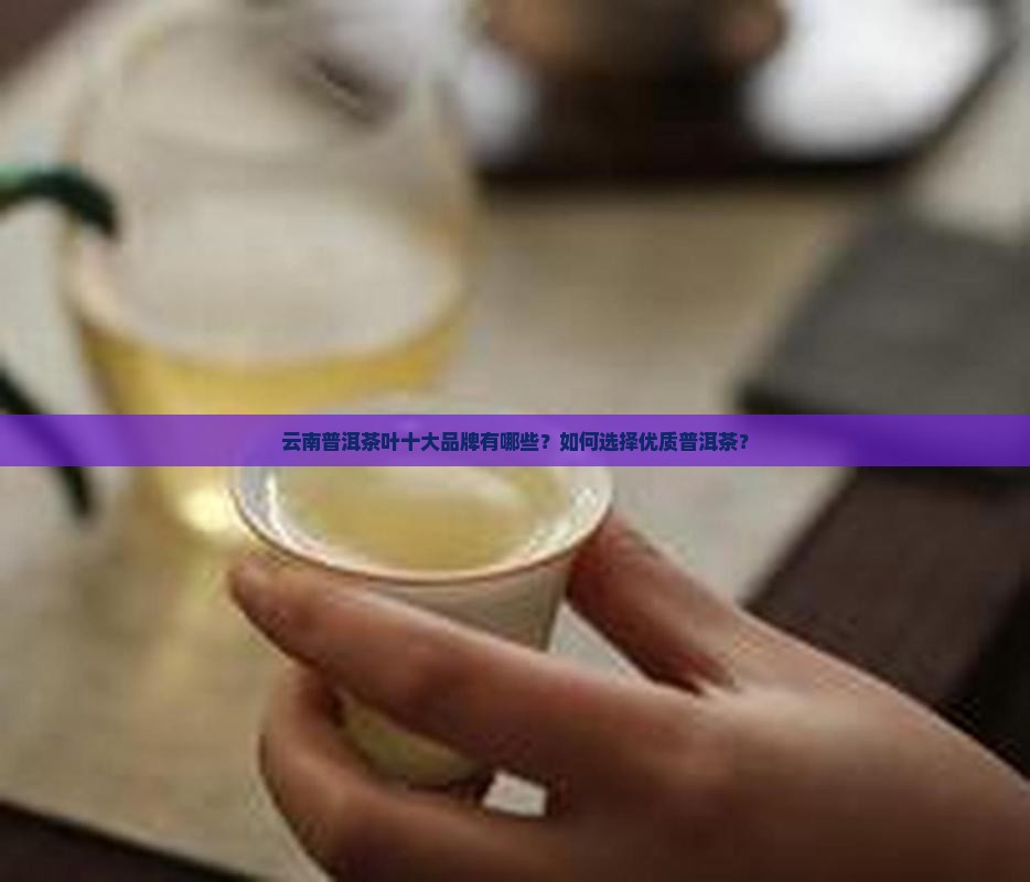 云南普洱茶叶十大品牌