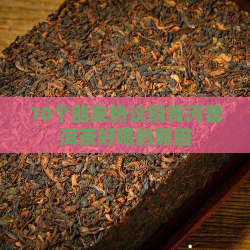 铜箐河普洱茶闻