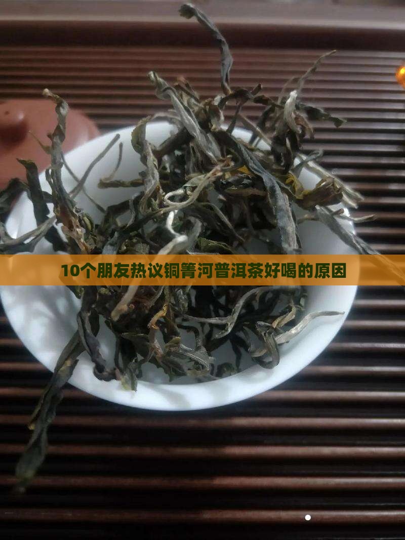铜箐河普洱茶闻