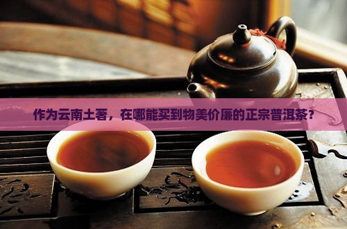 云南人在哪买普洱茶