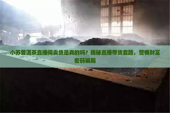 小苏普洱茶直播间卖货是真的吗