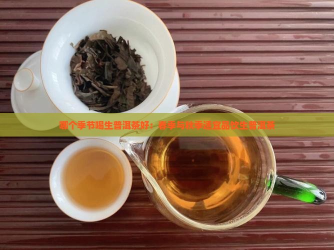 哪个季节喝生普洱茶好